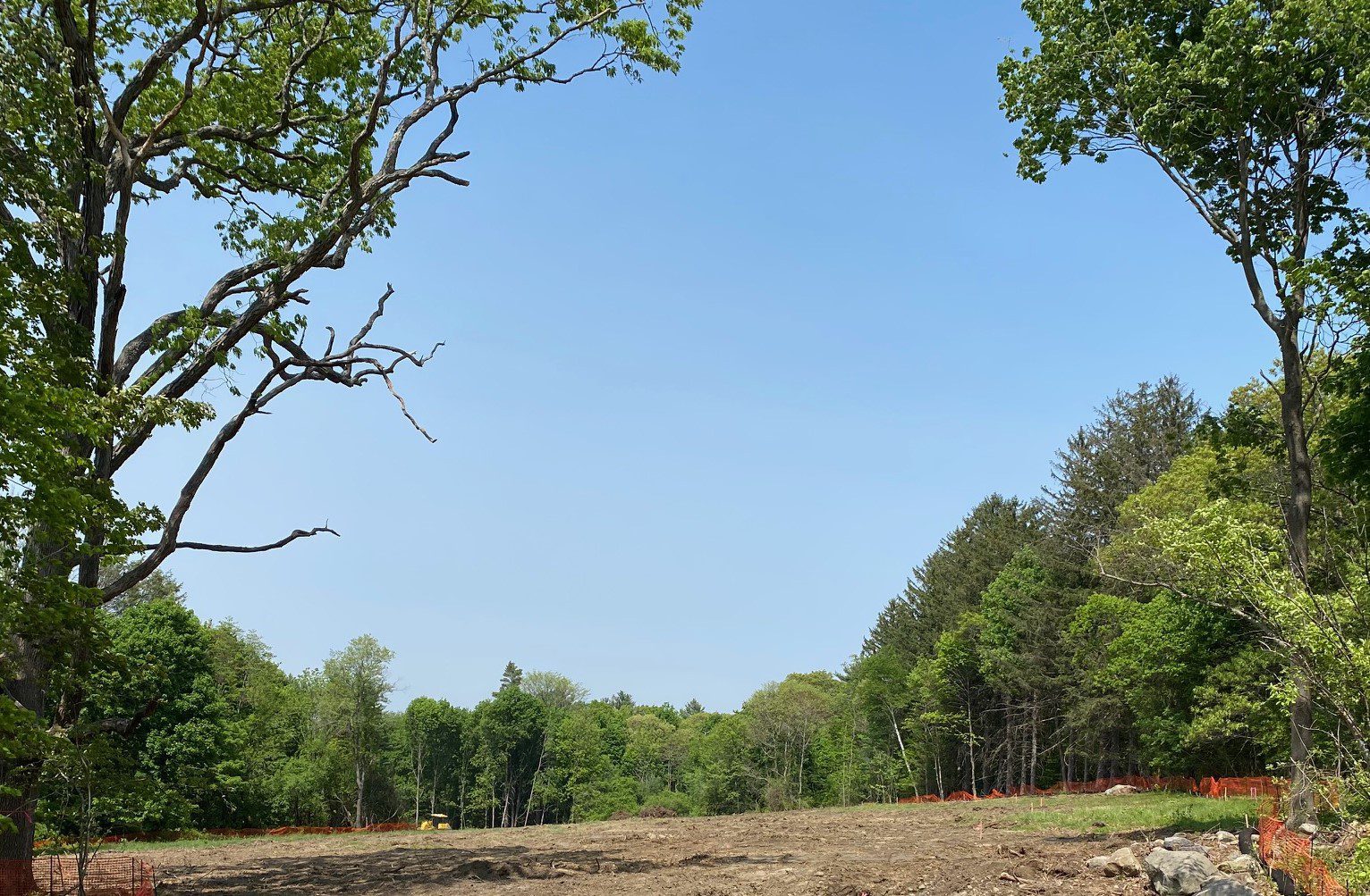 Roadwork for next phase underway! Wolcott Woods