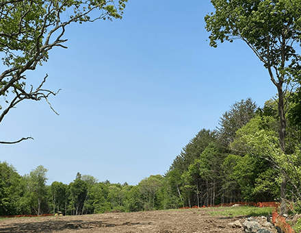Wolcott Woods Final Phase Launches June 2023_resized